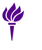 NYU logo